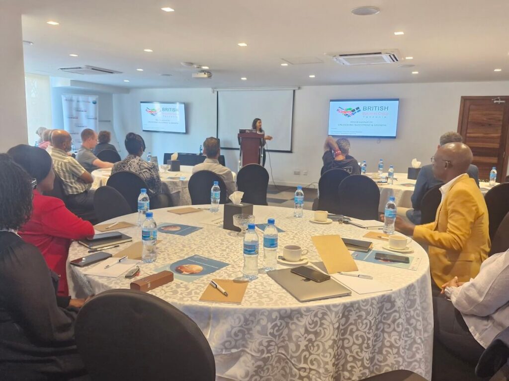 BBG Breakfast - Unlocking Growth in Tanzania (2)