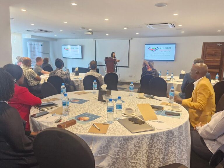 BBG Breakfast - Unlocking Growth in Tanzania (2)
